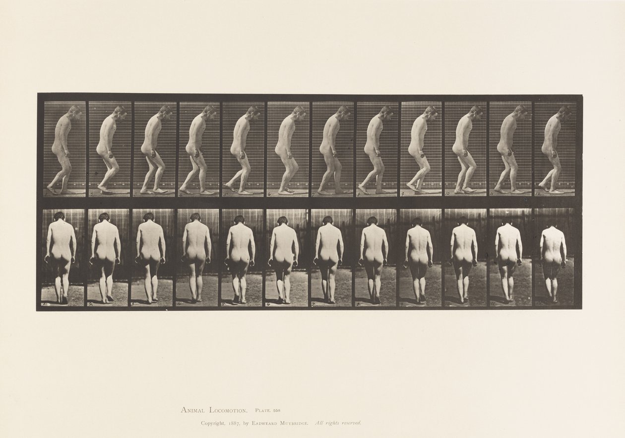 Plate 558. Paraplegi; Delvis; Gående, 1885 av Eadweard Muybridge