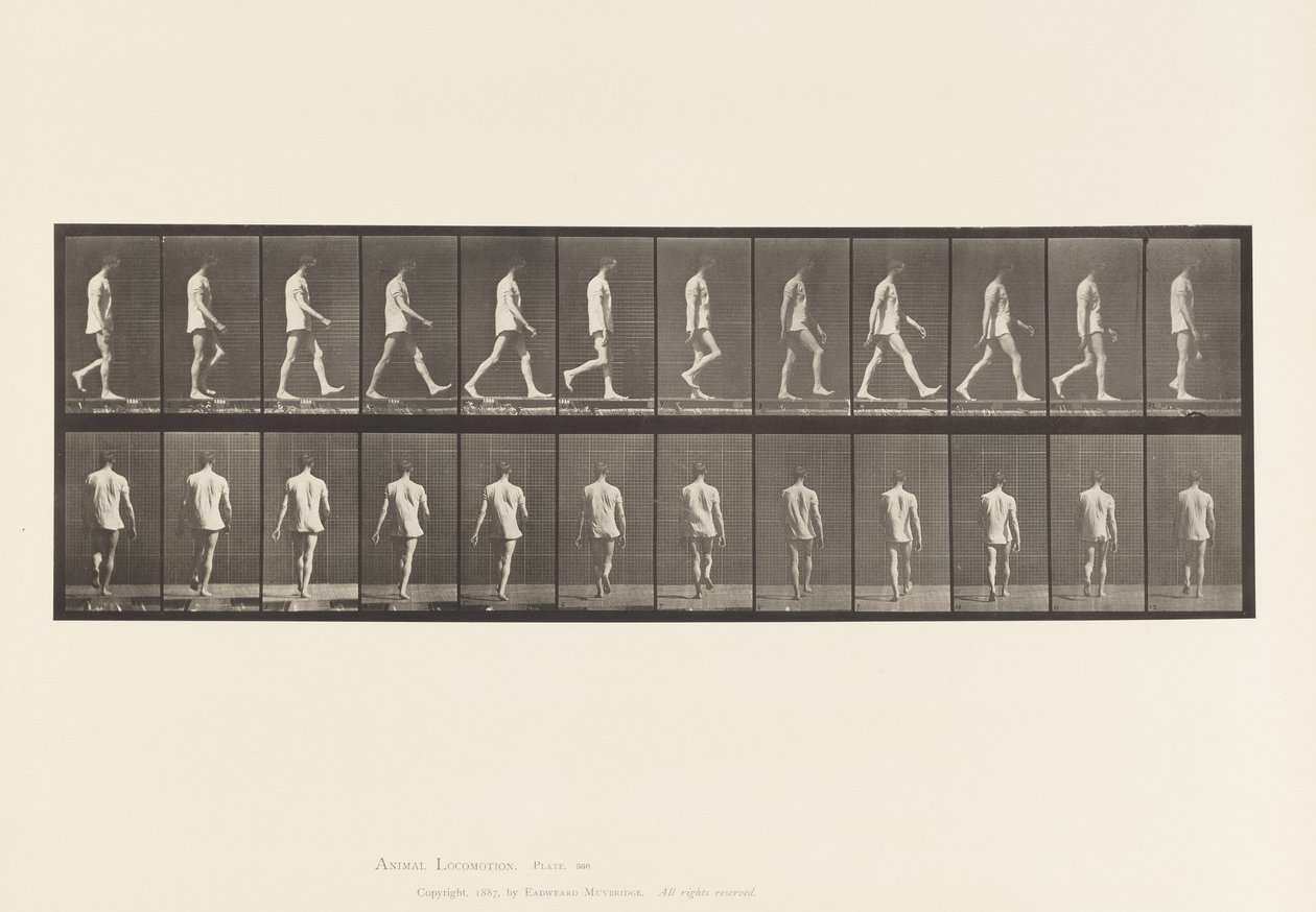 Plate 560.Locomotor Ataxia; Gående, 1885 av Eadweard Muybridge