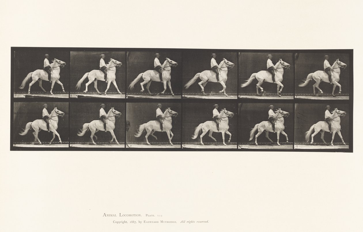 Plate 589.Ambling av Eadweard Muybridge