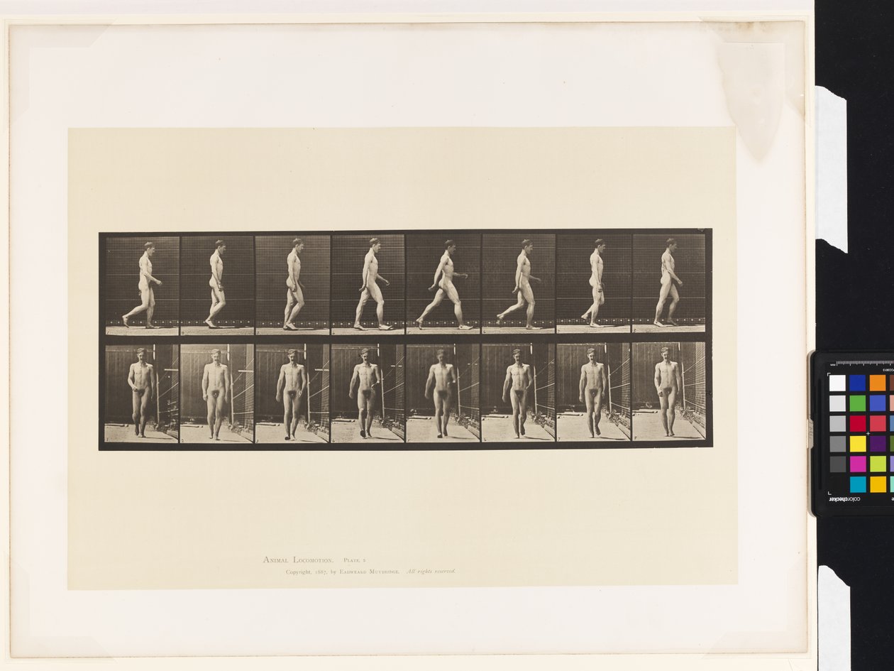Plate 5.Gå av Eadweard Muybridge
