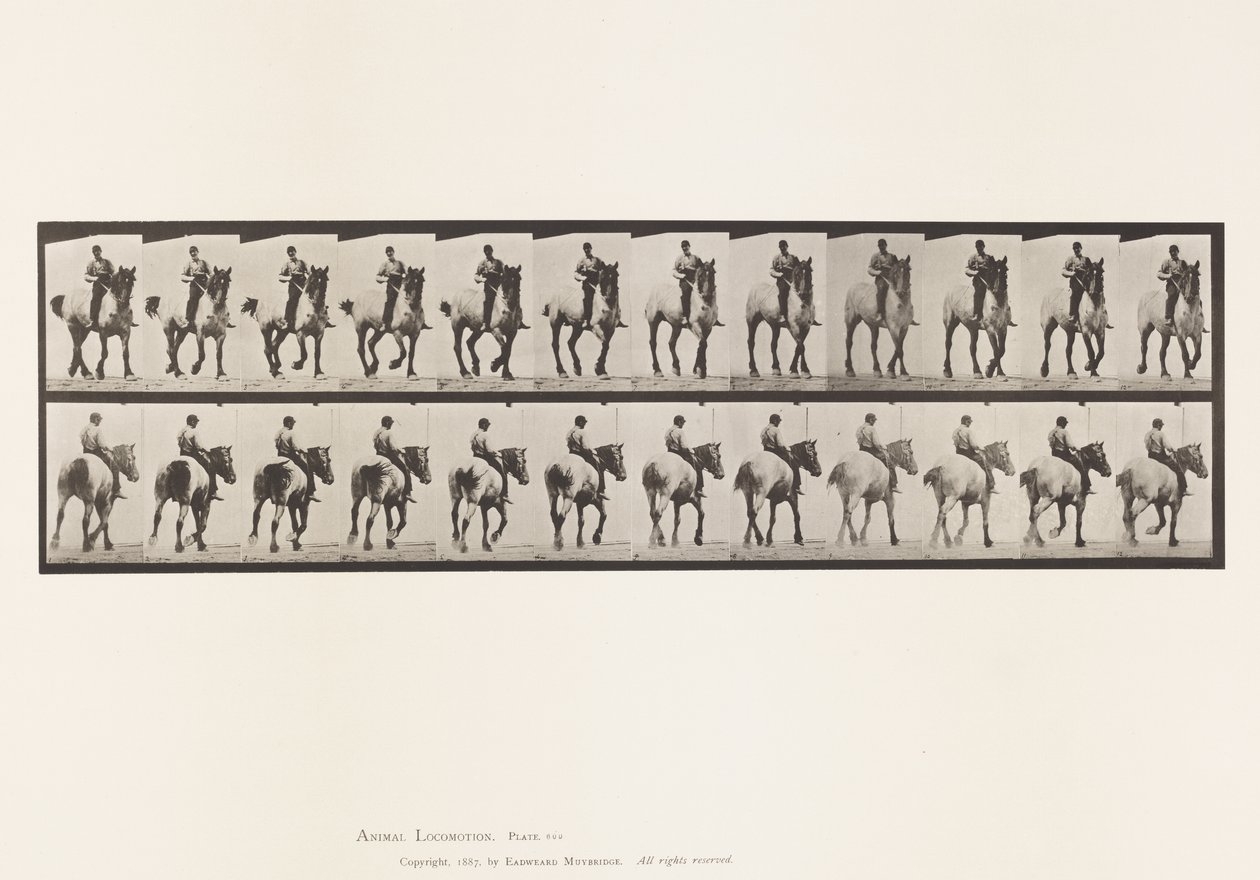 Tallerken 600. Trav; Bareback; Mørkegrå Dusel av Eadweard Muybridge