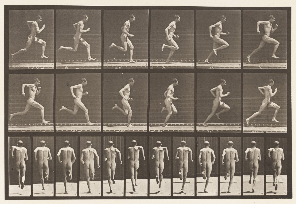 Plate 62. Kjører i full fart., 1872-1885 av Eadweard Muybridge