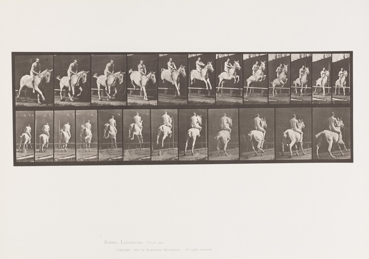 Plate 647. Hoppe et hinder; Bareback; Rytter av Eadweard Muybridge