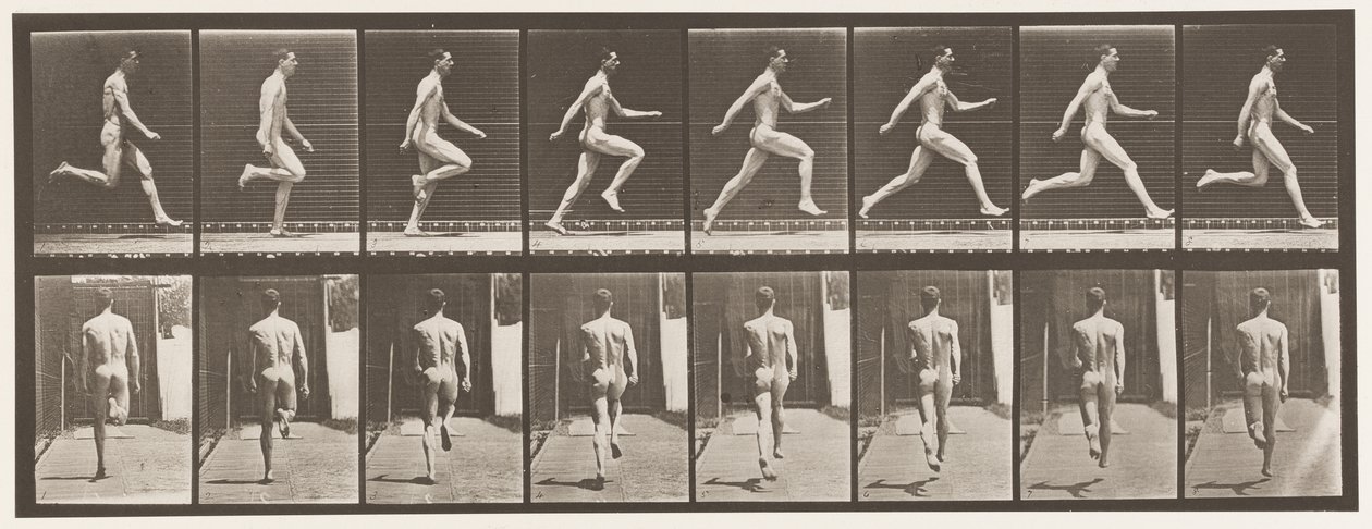 Plate 65. Kjører i full fart., 1872-1885 av Eadweard Muybridge