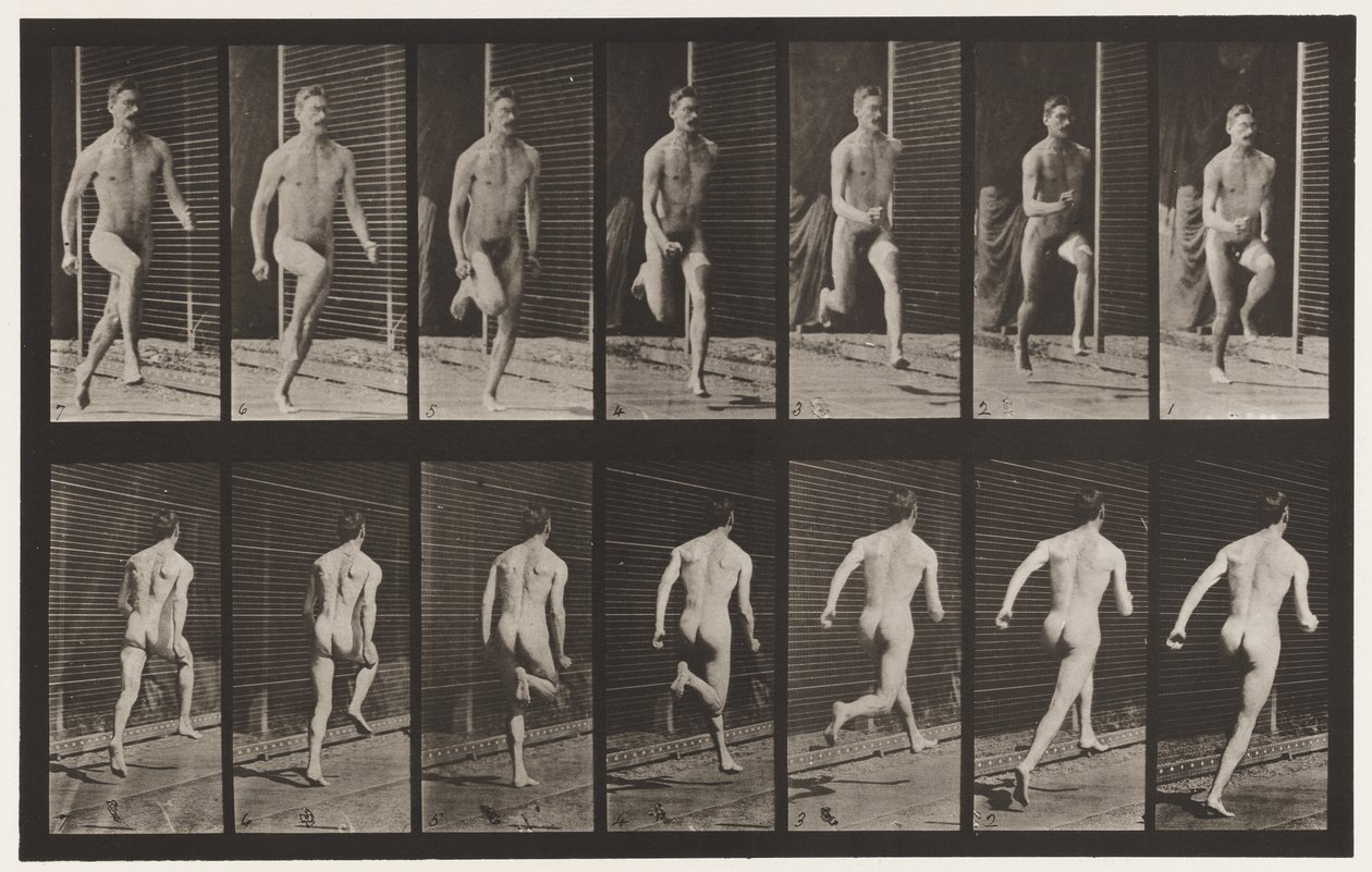 Plate 66. Kjører av Eadweard Muybridge