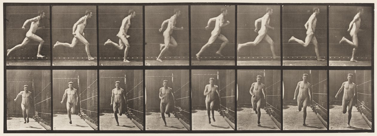 Plate 67. Running, 1872-1885 av Eadweard Muybridge
