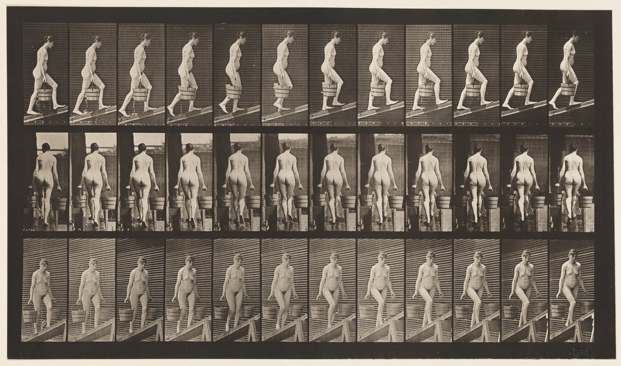Plate 81. Stigende stigning. av Eadweard Muybridge