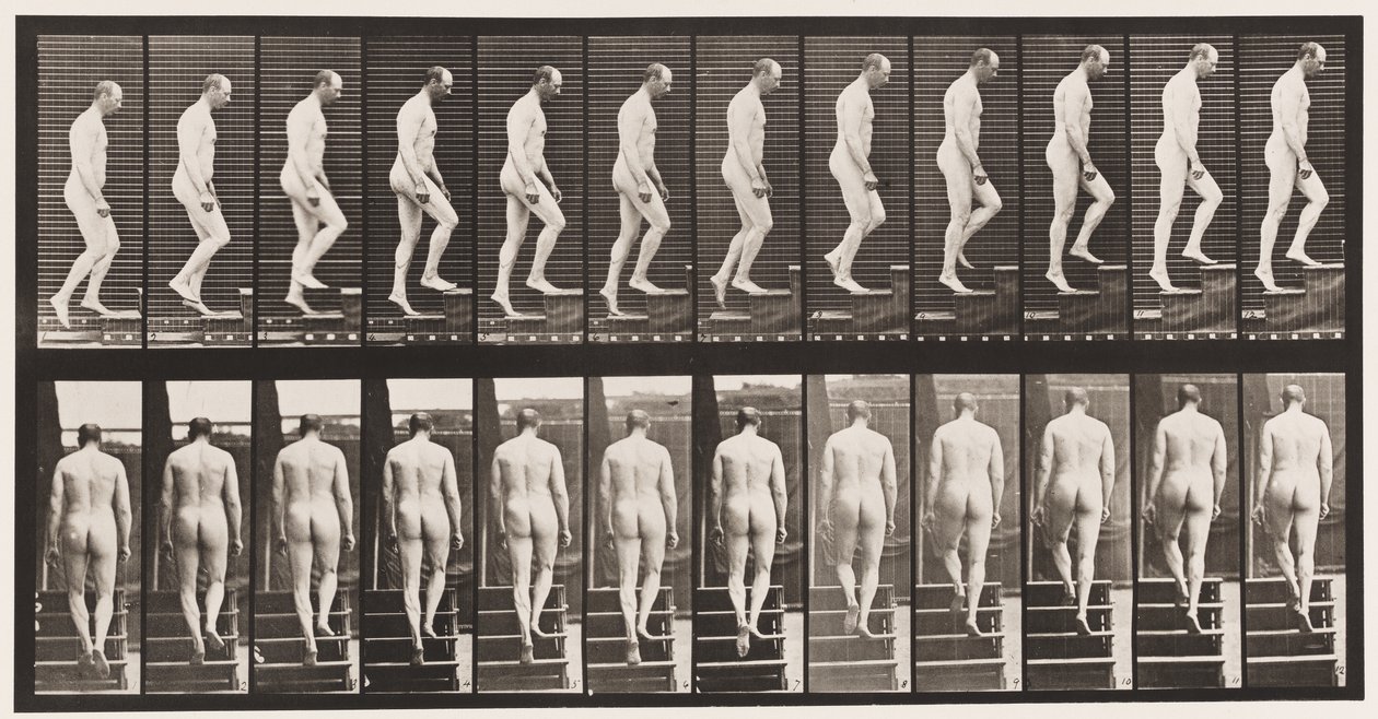 Plate 89. Oppgående trapp av Eadweard Muybridge