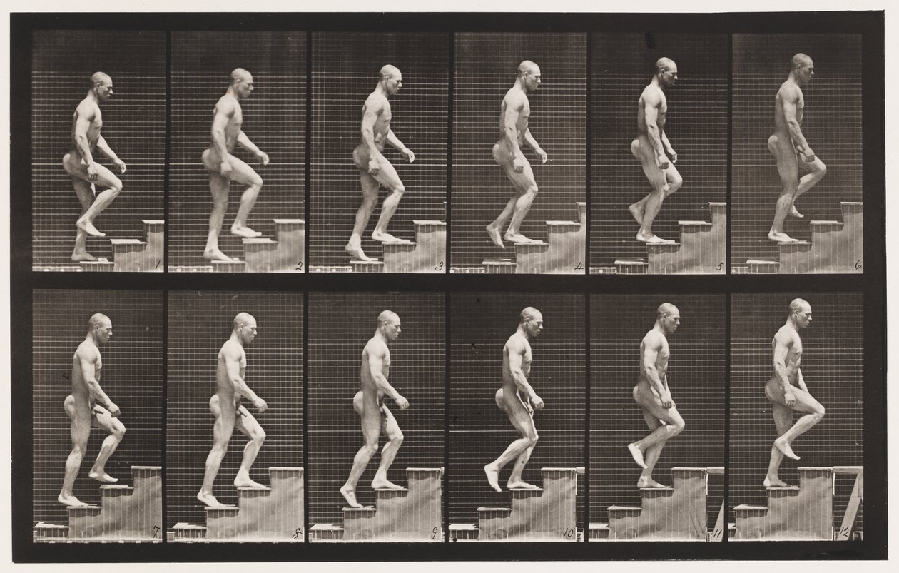 Plate 91. Oppgående trapp av Eadweard Muybridge