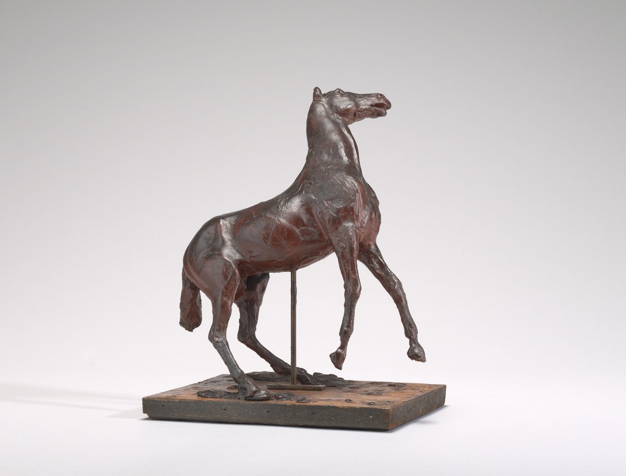 Hesteoppdrett, 1880-tallet. av Edgar Degas