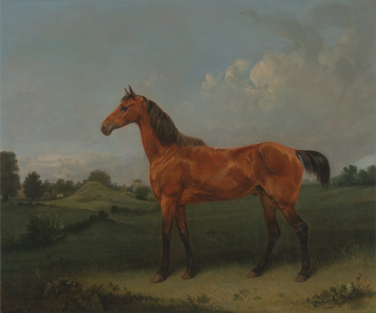 En Bay Horse in a Field av Edmund Bristow
