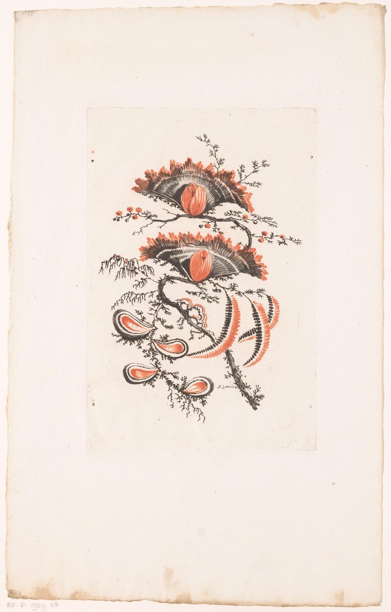 Vifteformede blomster Fleurs Idealle (serietittel) av Edouard Gautier Dagoty