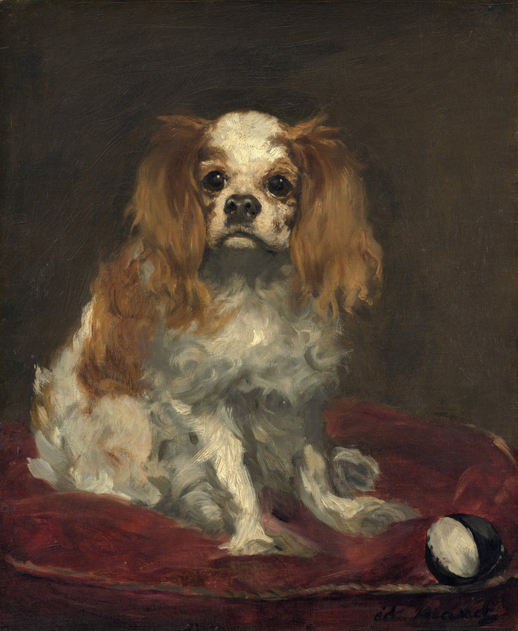 En King Charles Spaniel av Édouard Manet