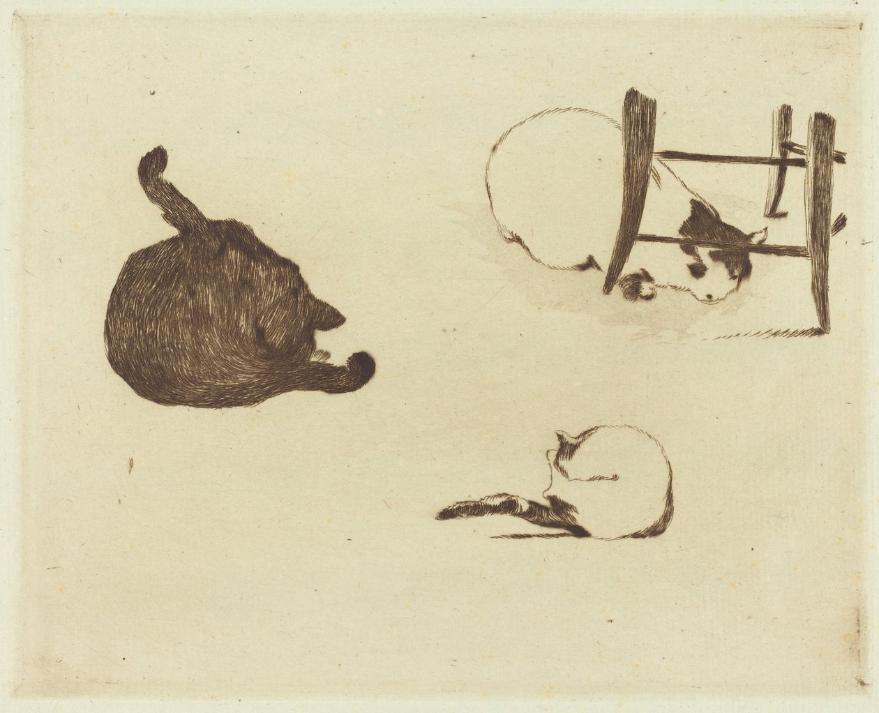 The Cats Les chats, 1869. av Édouard Manet