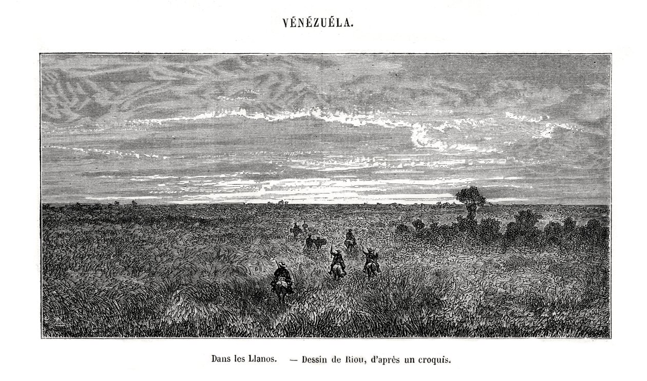 Los Llanos, Venezuela, 1800-tallet av Edouard Riou