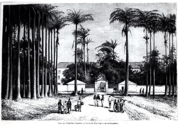 Place des Palmistes, Cayenne, Guyana av Edouard Riou