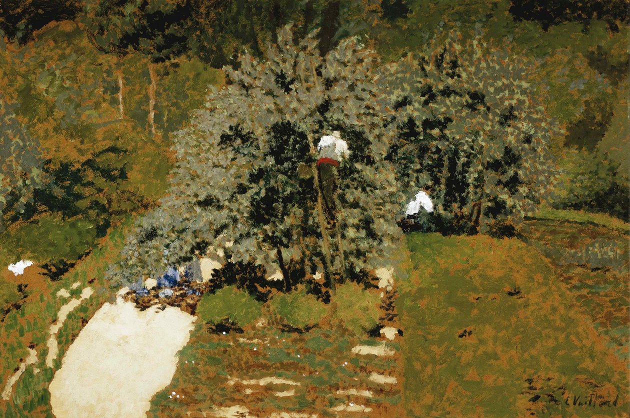 Plukking, 1899-1900. av Edouard Vuillard