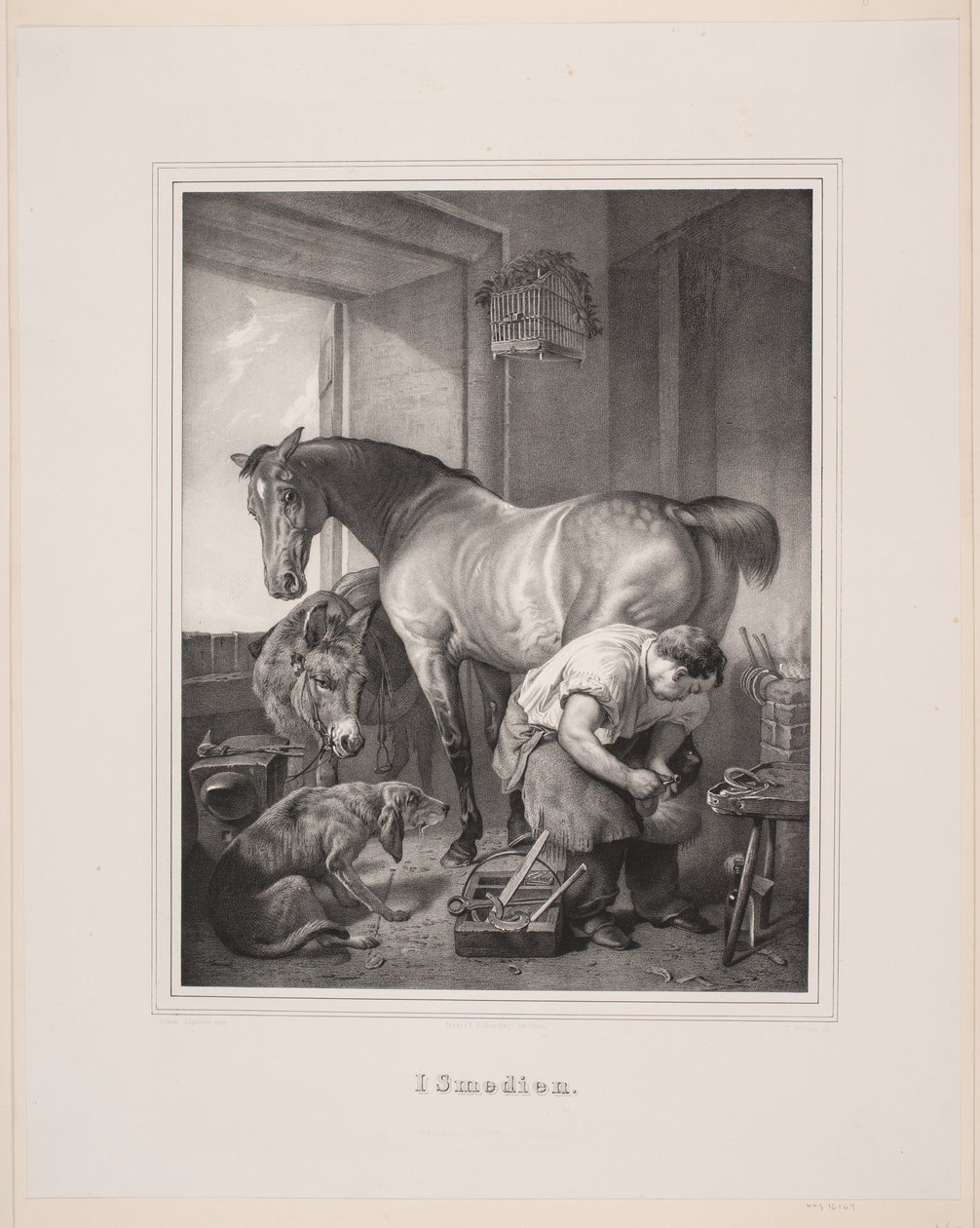  av Edvard Fortling