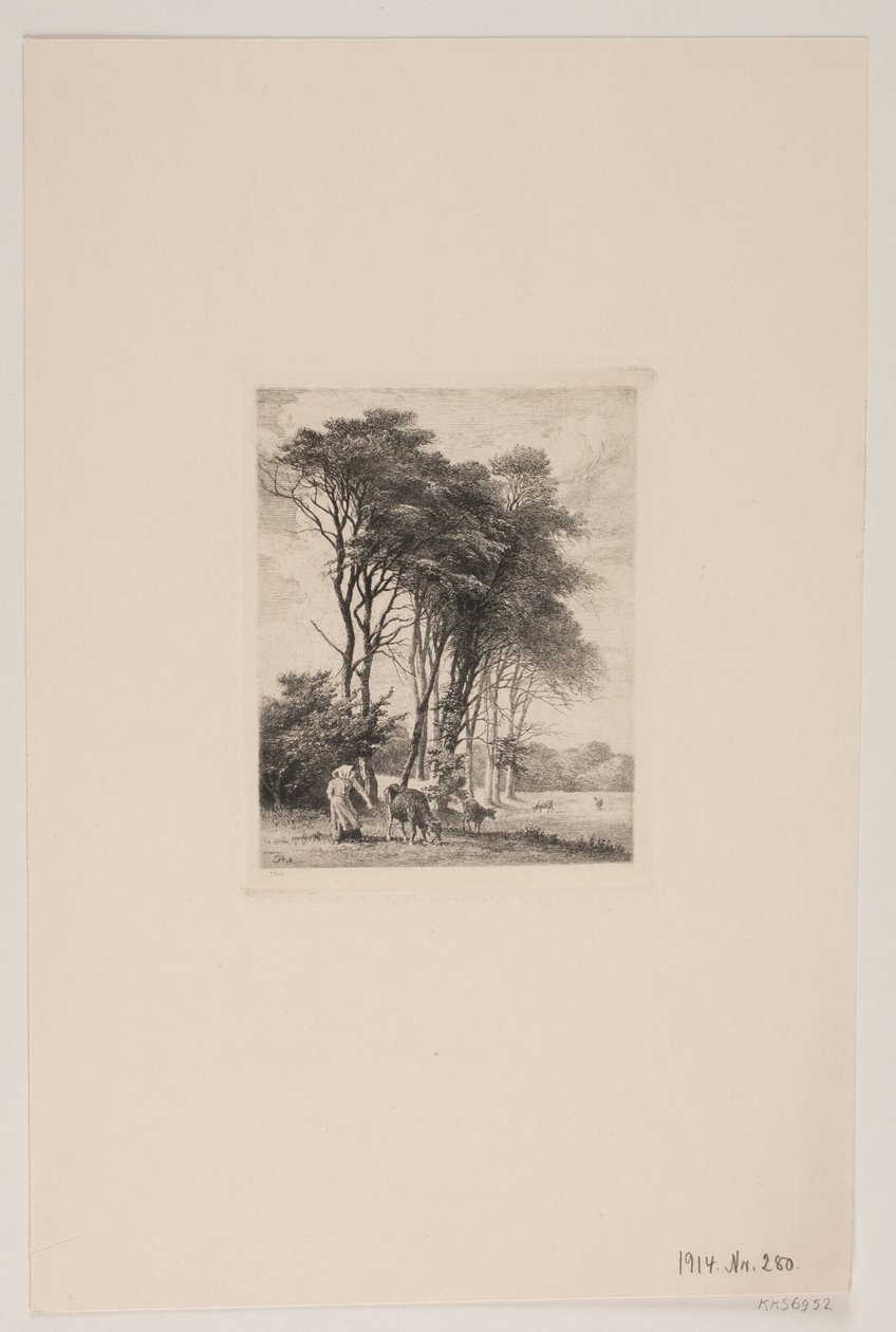 Landskap. Kyr ved en skog av Edvard Petersen