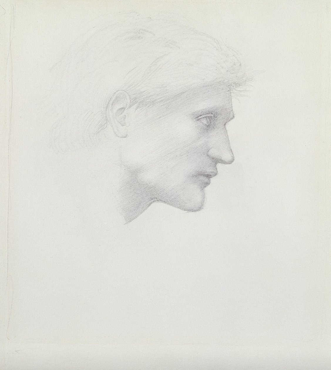 Alessandro di Marco - hodestudie av Edward Burne Jones