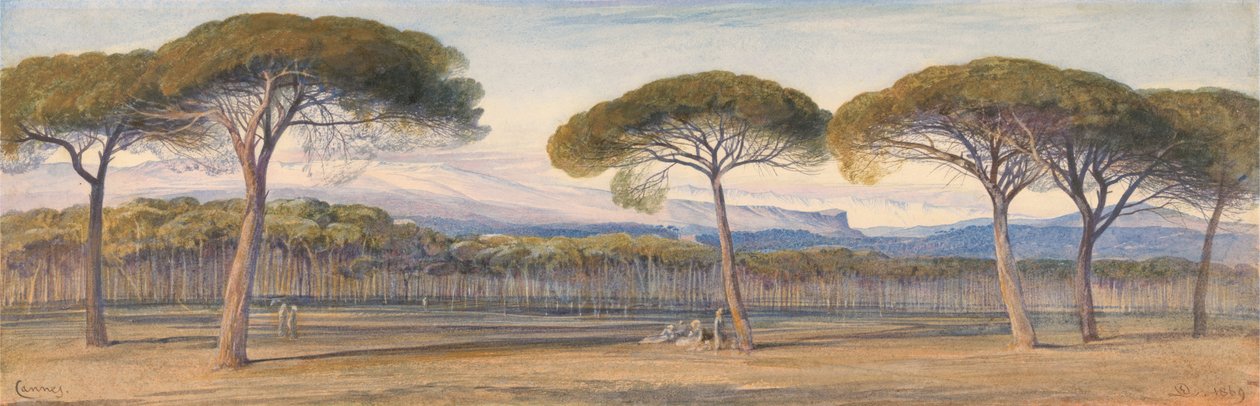 Utsikt over furuskogen over Cannes av Edward Lear