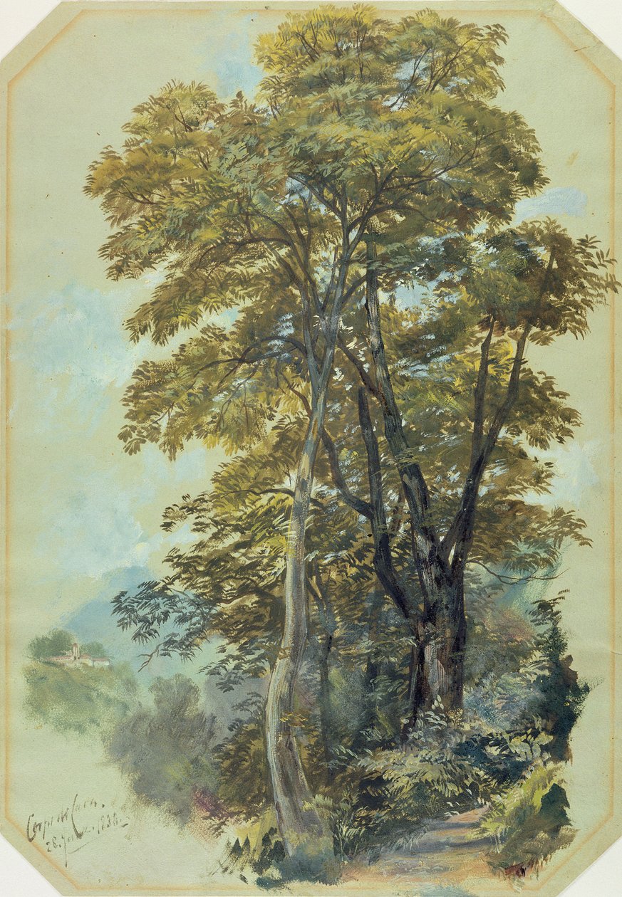 Edward Lear, Corpo di Cava, 28. juni 1838 (olje på grått vevd papir) av Edward Lear