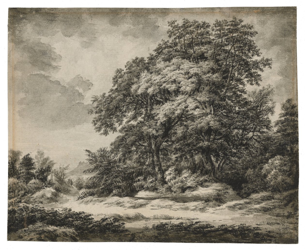 Skoglandskap (rekto), ca. 1838-1848 (blekk og vask på lagt papir) av Edward Lear