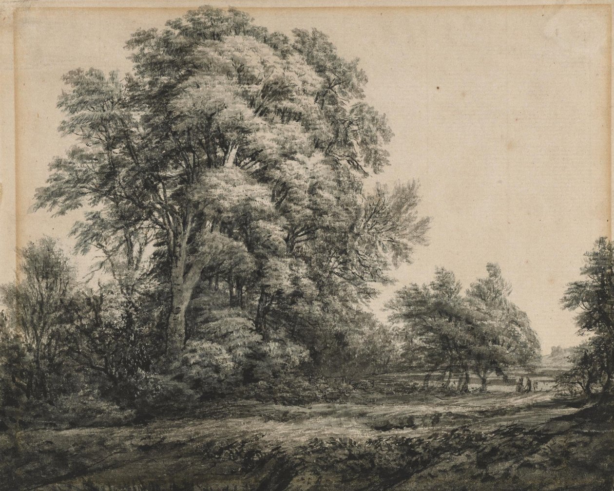 Skoglandskap av Edward Lear