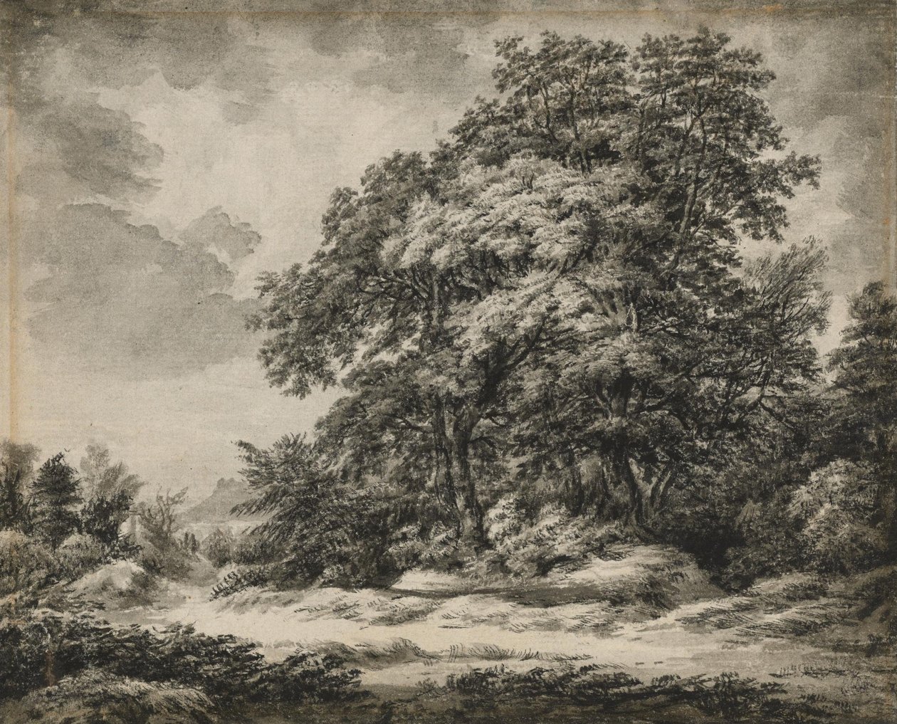 Skoglandskap av Edward Lear