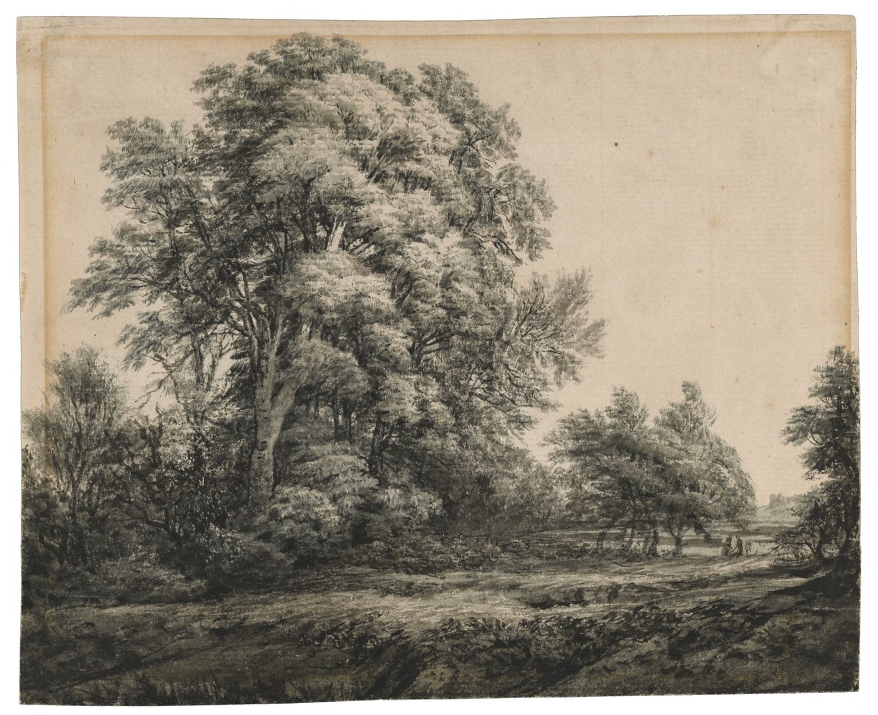 Skoglandskap, ca. 1838-1848 (blekk og vask på lagt papir) av Edward Lear
