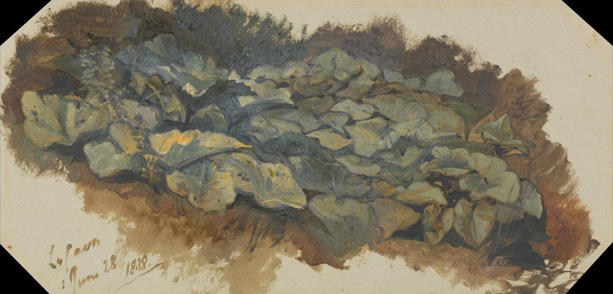 Cavaen av Edward Lear