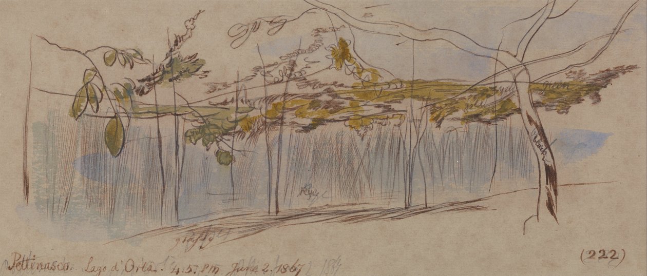Pettenasco, Lago dOrta av Edward Lear