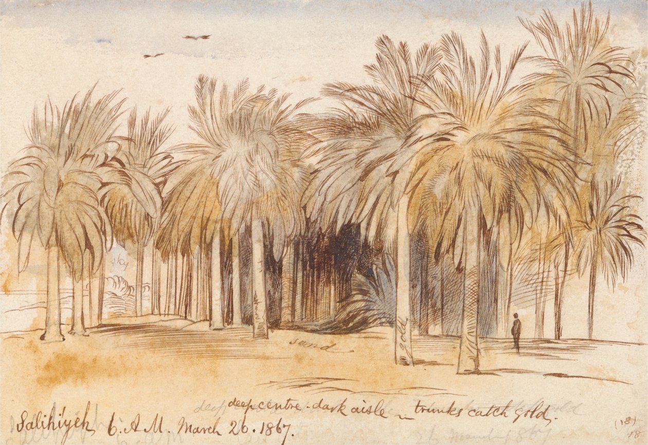 Salahiyeh av Edward Lear