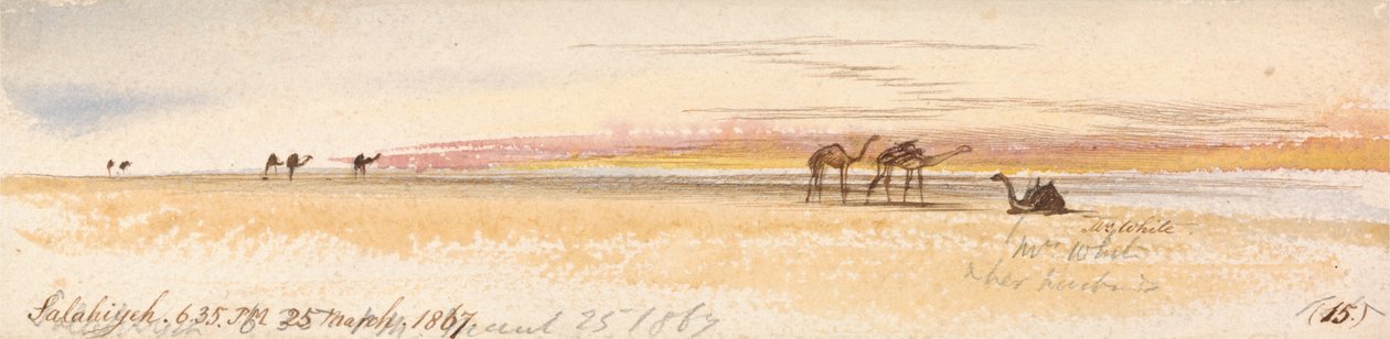 Salahiyeh av Edward Lear