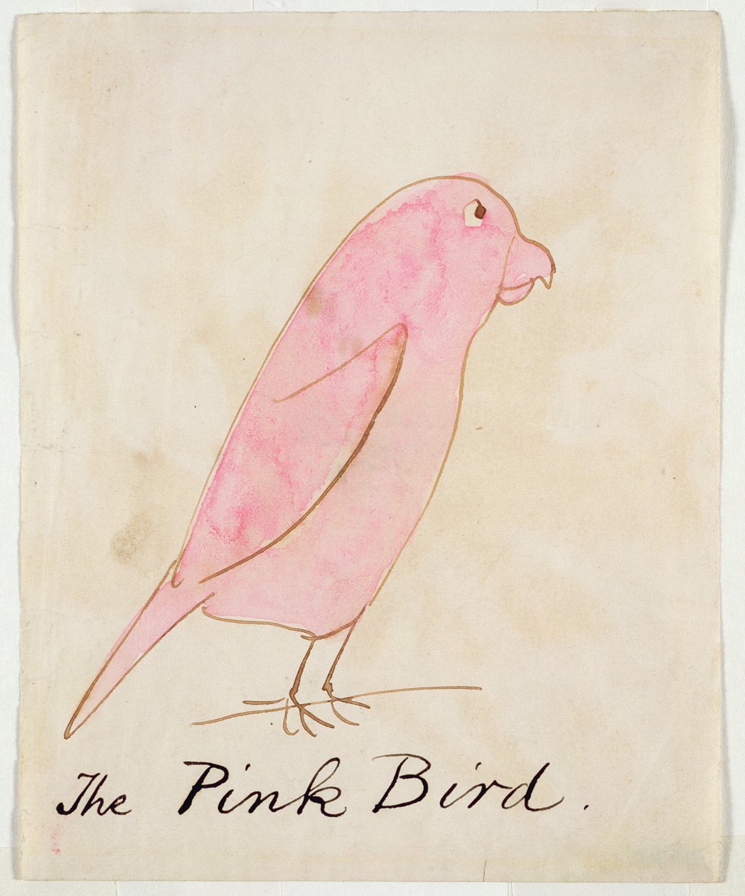 The Pink Bird, fra 