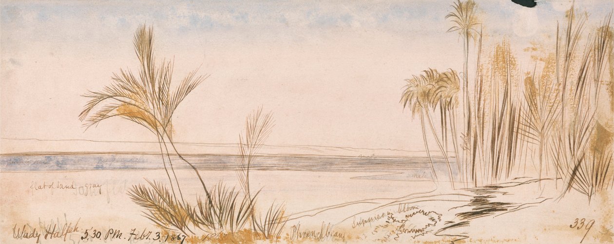Halfeh ulemper av Edward Lear