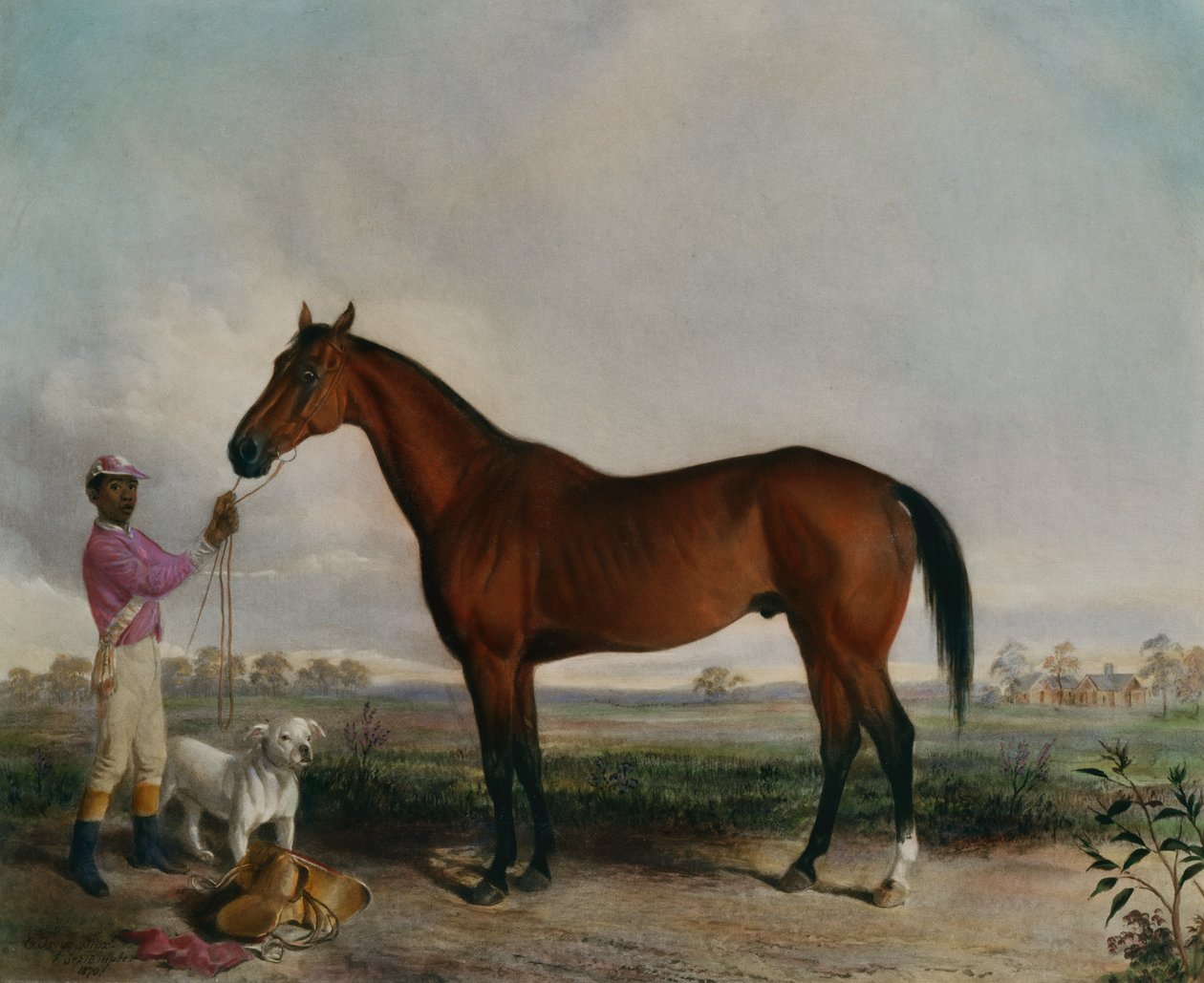 Spørrer, Bay Horse av Edward (after) Troye