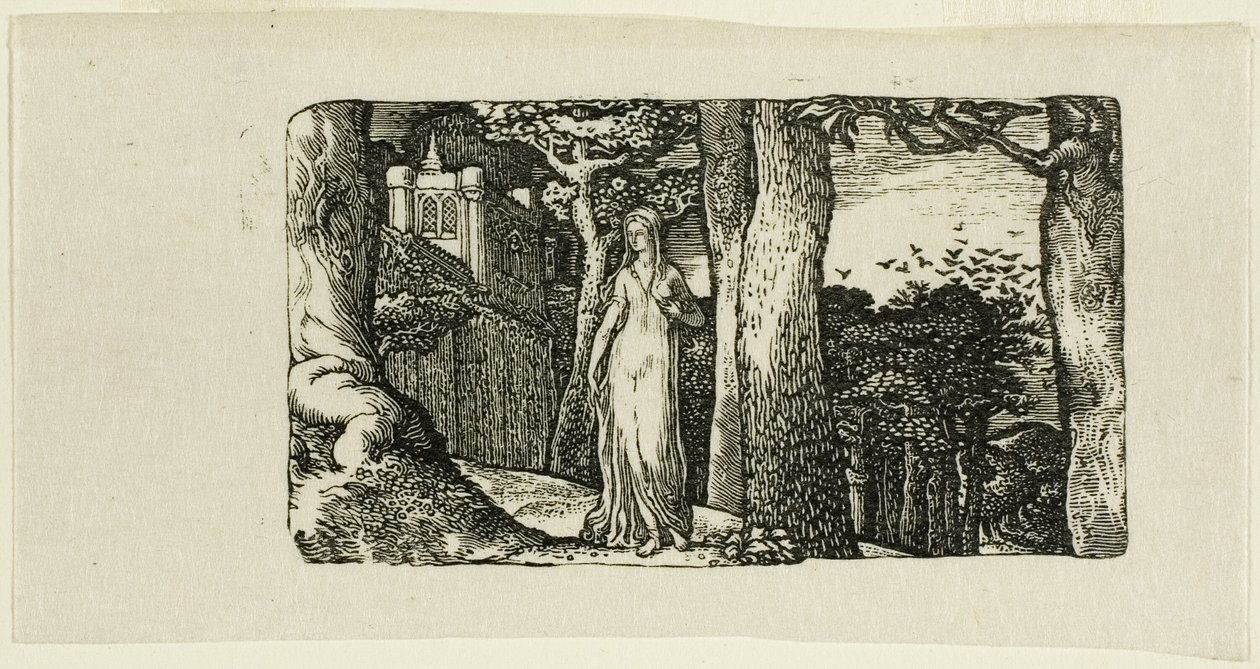 The Lady and the Rooks av Edward Calvert