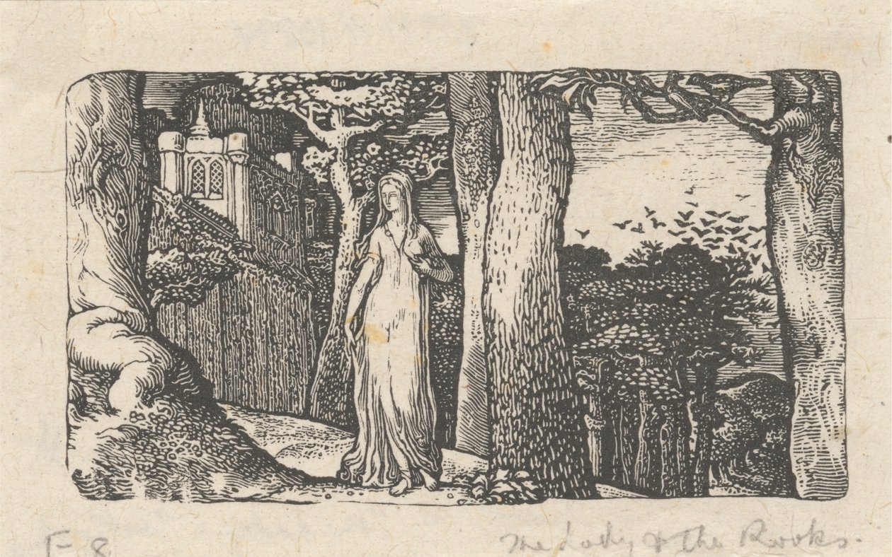 The Lady and the Rooks av Edward Calvert