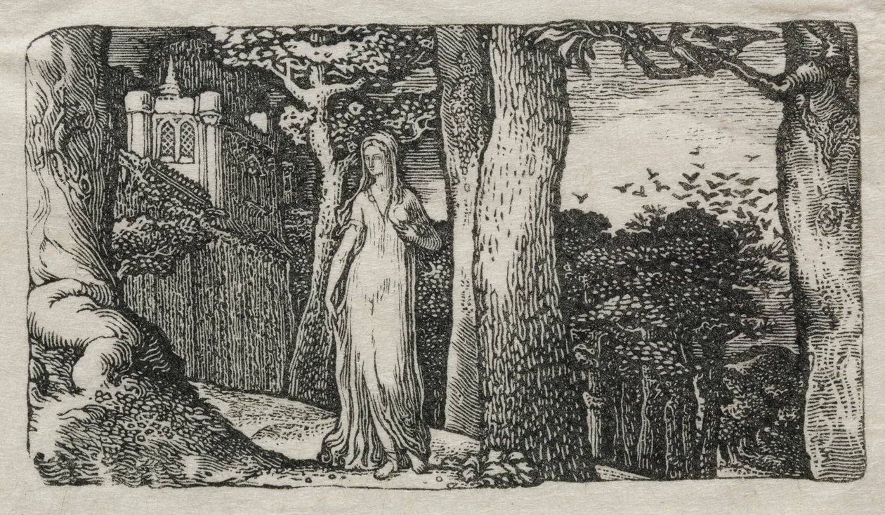 The Lady and the Rooks, 1829. av Edward Calvert