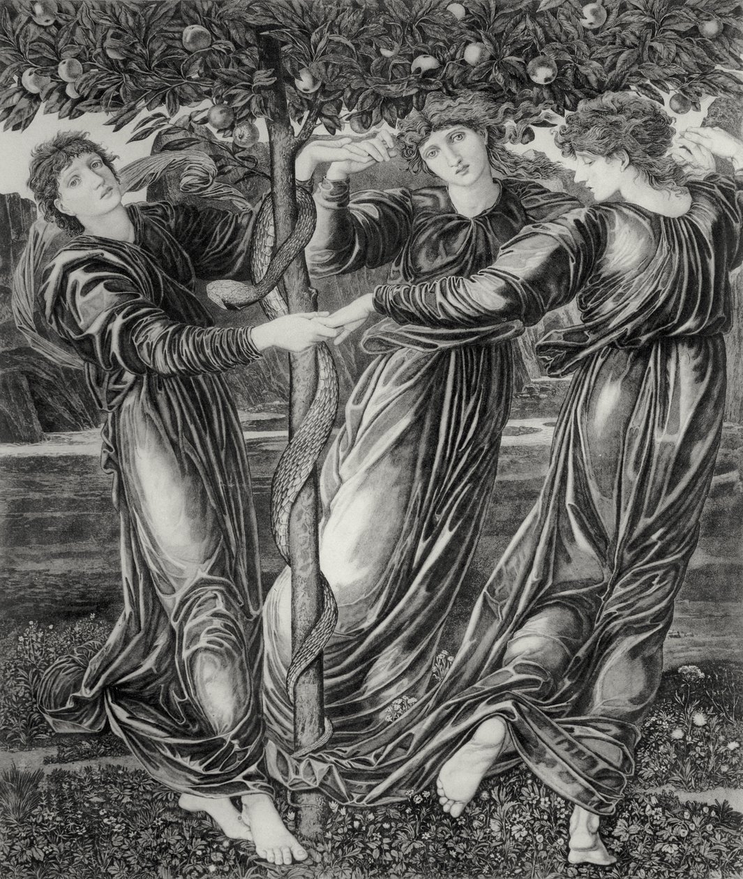 Hagen til Hesperides av Edward Coley (after) Burne Jones