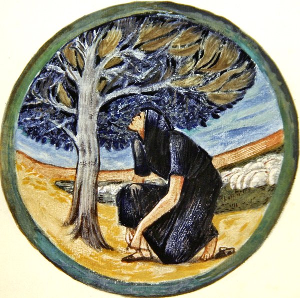 Blomsterboken: XXXVII. Branntre av Edward Coley Burne Jones