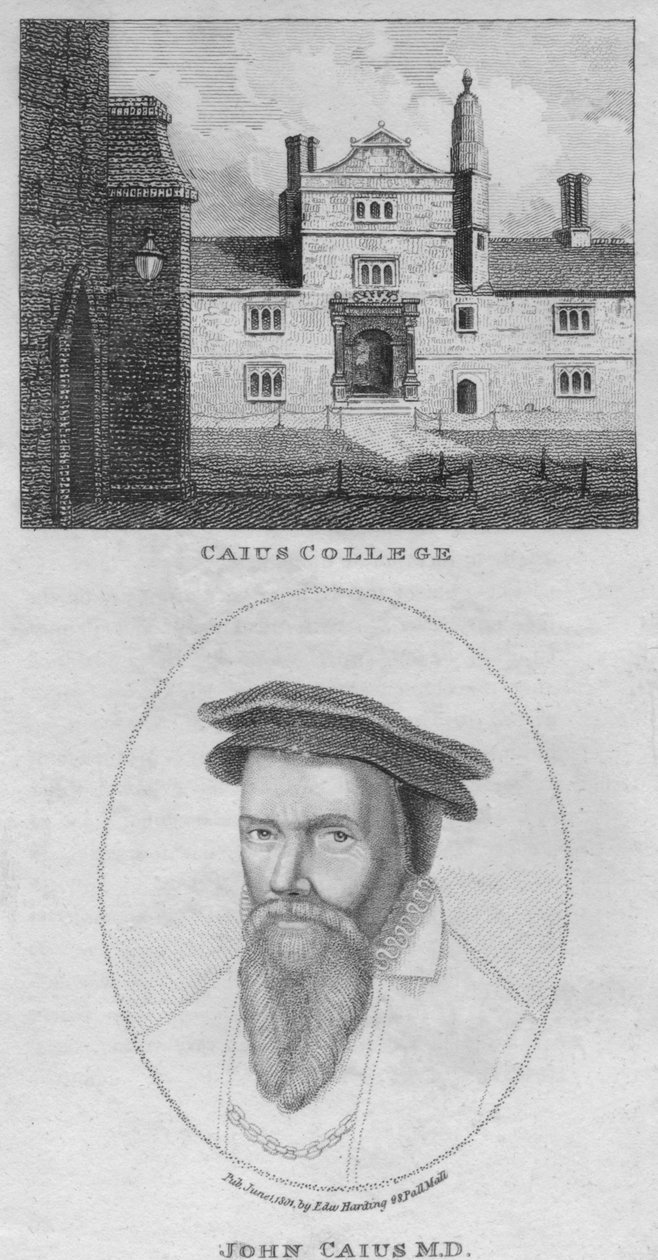 Caius College, John Caius M.D., 1801. av Edward Harding