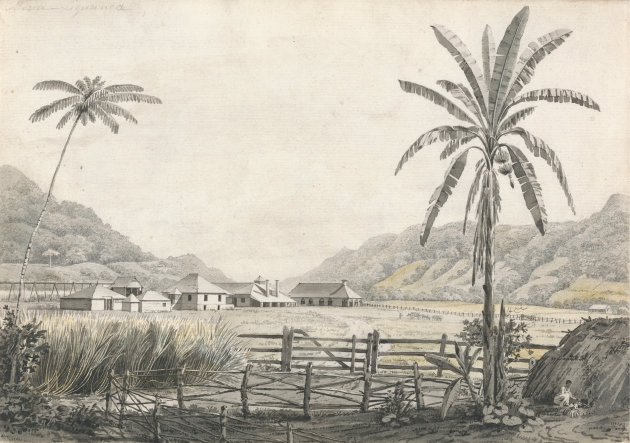 Utsikt over Hall-head Sugar Plantation, Jamaica av Edward Kennion