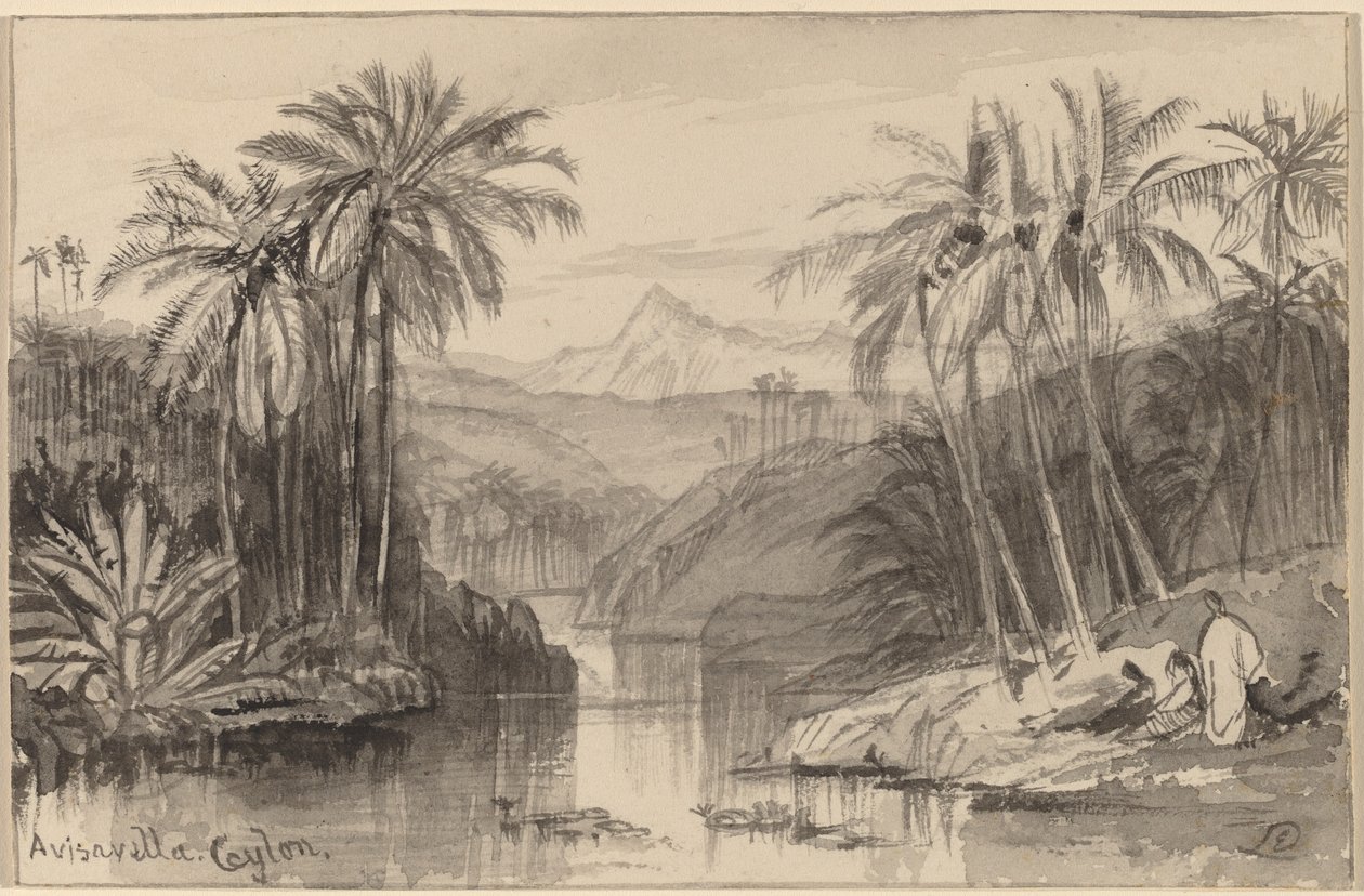 Avisavella, Ceylon, 18841885. av Edward Lear