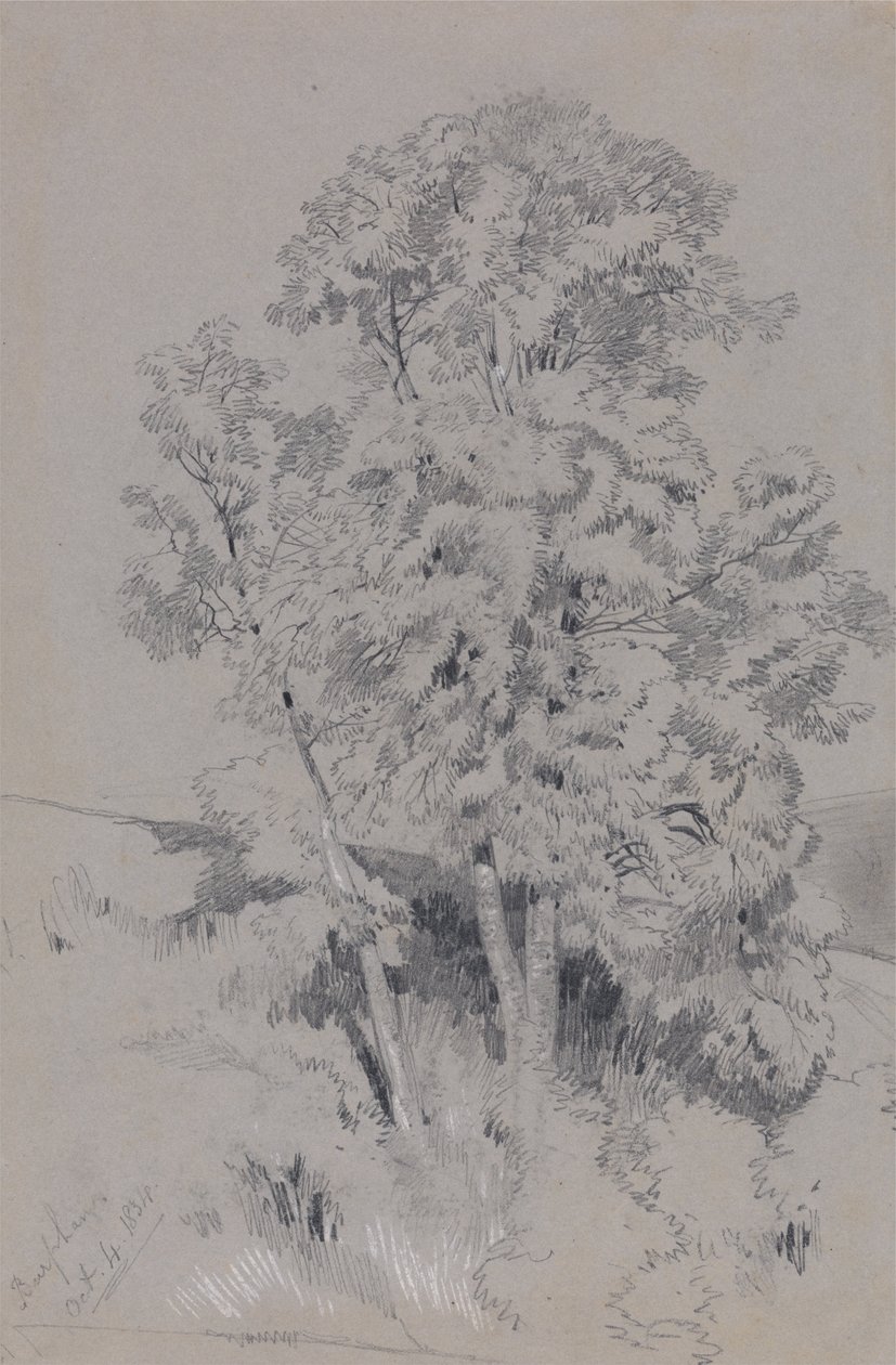  av Edward Lear
