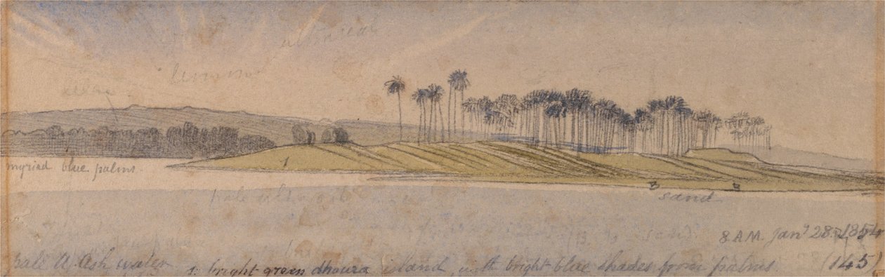  av Edward Lear