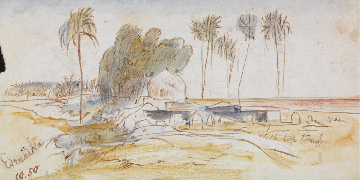  av Edward Lear