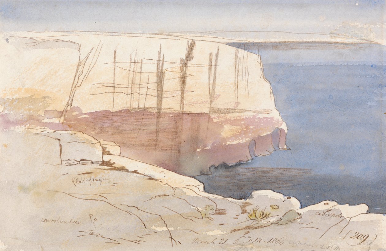  av Edward Lear