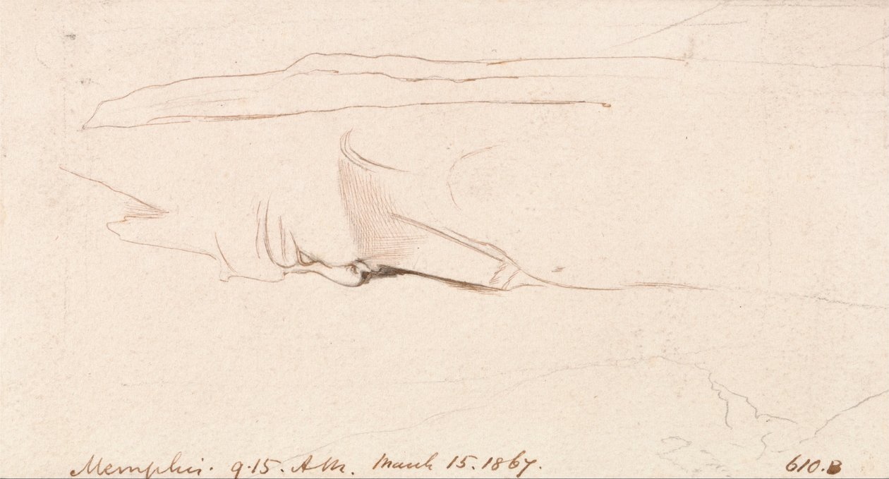  av Edward Lear